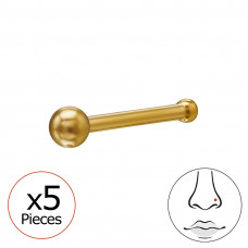Round 2mm Ball 316 Surgical Steel Gold Color Nose Stud - 0.8mm (20G) x5