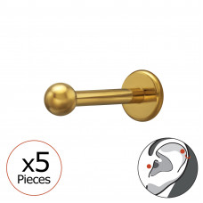 2.5mm Ball Tragus, Helix, Upper Ear Piercing on 1.2x8mm (16G) 316 Surgical Steel Gold Color Threaded Barbell with Flat Back Disc x5